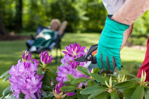 Garden clearance in a terraced street showing waste collection arrangements
