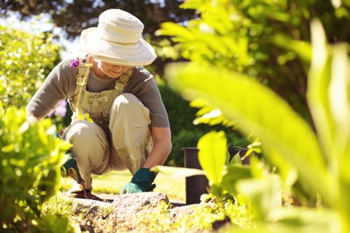 Seasonal gardening tips from Gardener Uxbridge