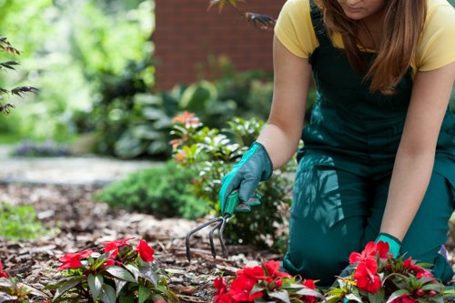 Expert gardeners maintaining a lush garden